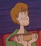 Shaggy Rogers in The Scooby Doo Show