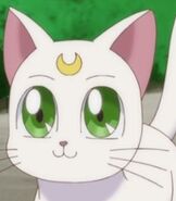 Artemis in Pretty Guardian Sailor Moon Crystal