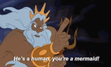 He's a human you're mermaid.gif