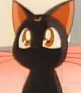 Luna in Sailor Moon Super S the Movie