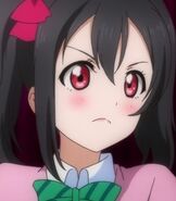 Nico Yazawa in the Love Live School Shorts