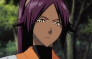 Yoruichi Shihoin