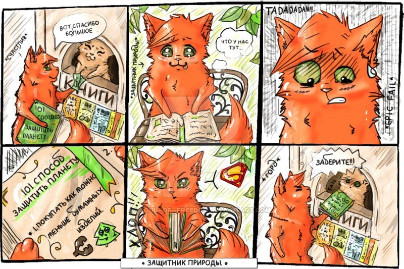 Картинки с приколами и мемами коты воители Игра: Придумай анекдот. Fandom