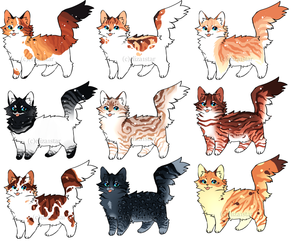 Окрасы кошек для квадробики
