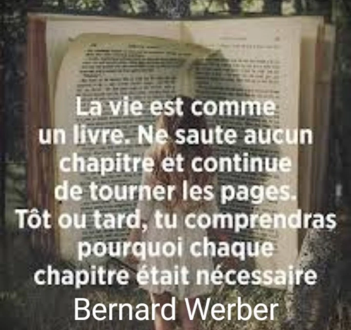 La Citation Du Jour Fandom
