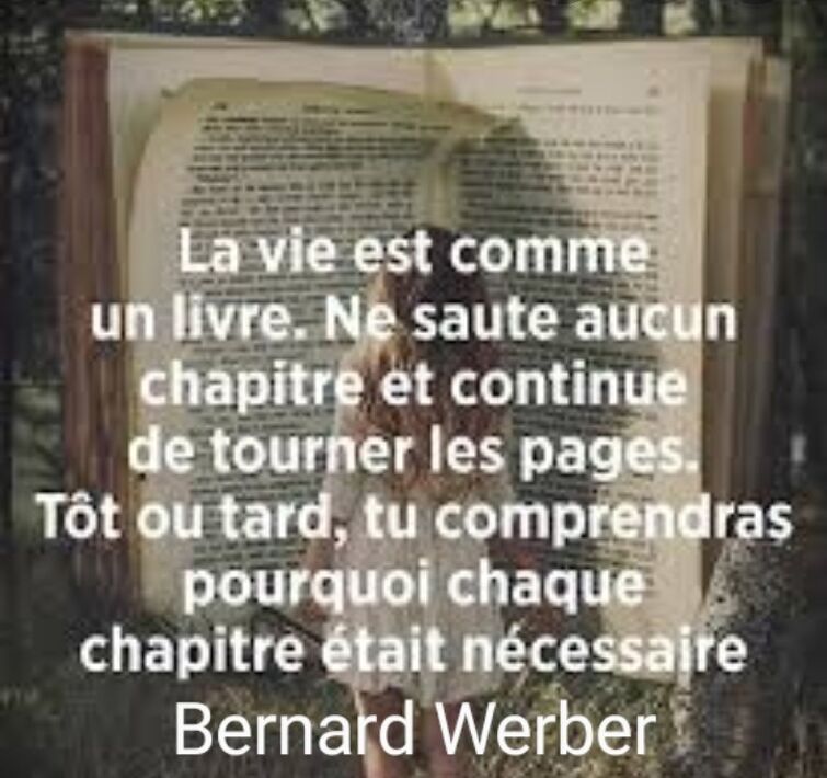 La Citation Du Jour Fandom