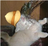 Finnodile's avatar