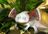 Axeolotls's avatar