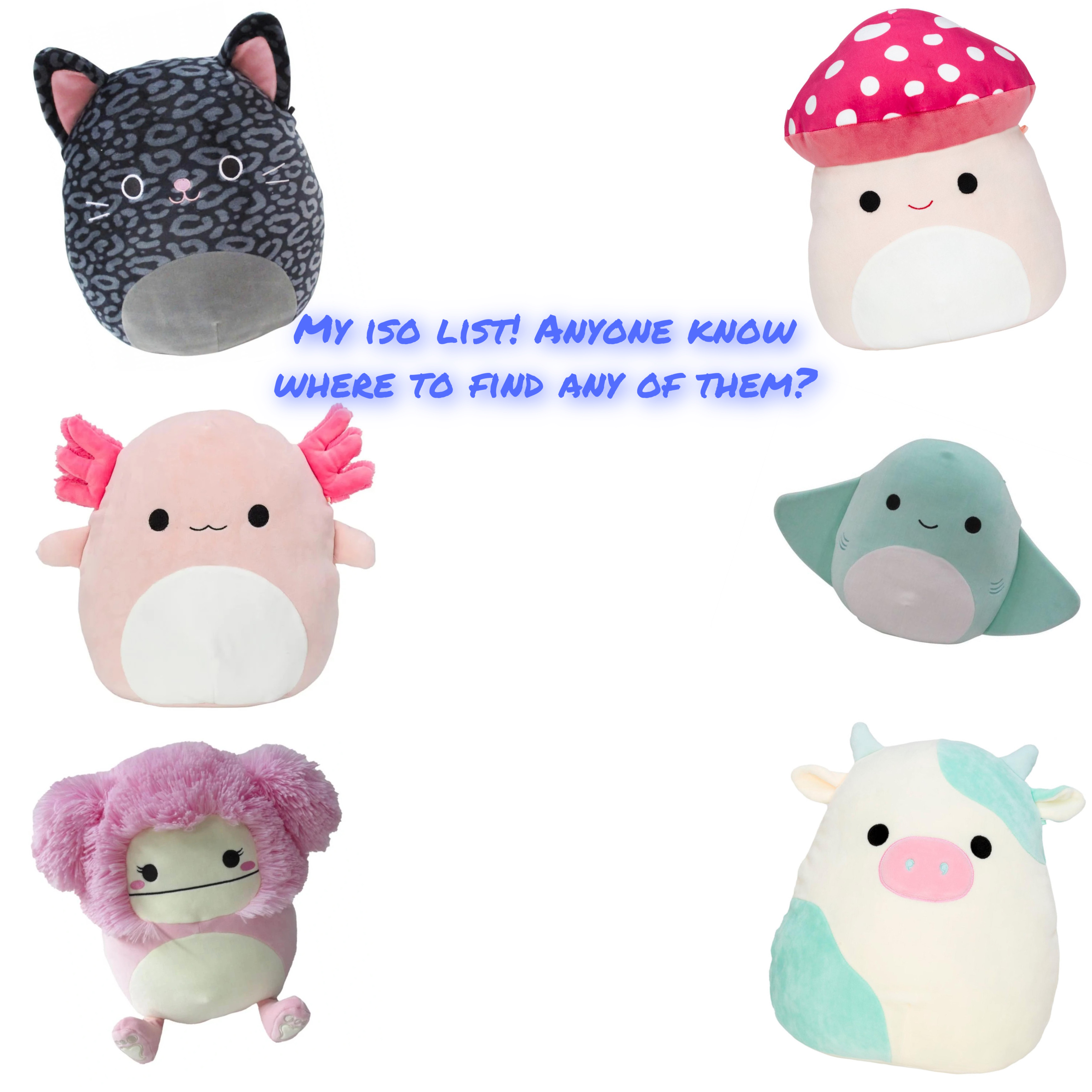 make a squishmallow iso list for you