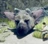 TRICO 2006's avatar