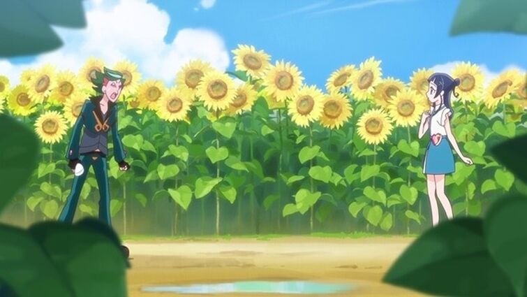 Fandom Image