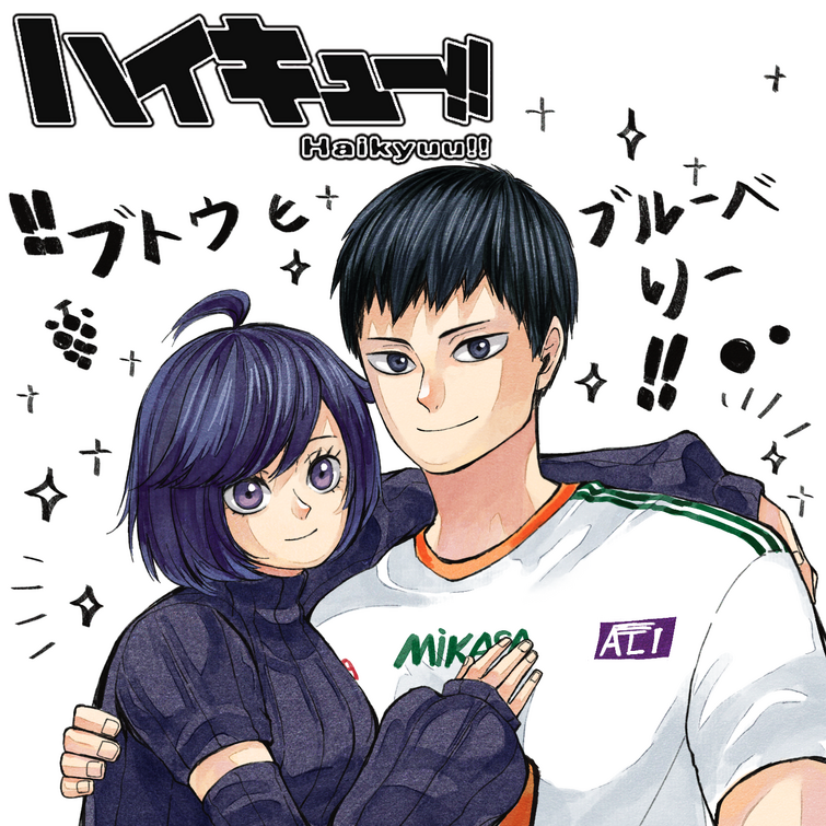 Fandom Image