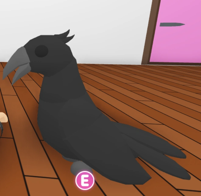 Раскраска вороны. Ворон из adopt me. Adopt me ворона. Фото ворона из adopt me. Crow adopt me.