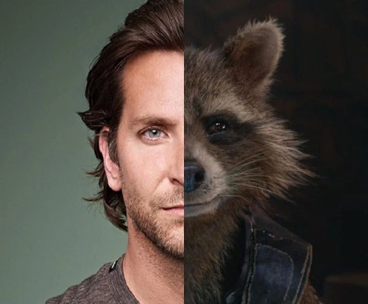 Feliz cumpleaños Bradley Cooper!!!... O mejor conocido como Rocket Racoon Fandom