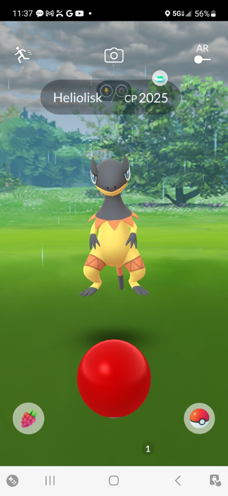 Shiny Showcase: Alolan Raichu : r/pokemongo