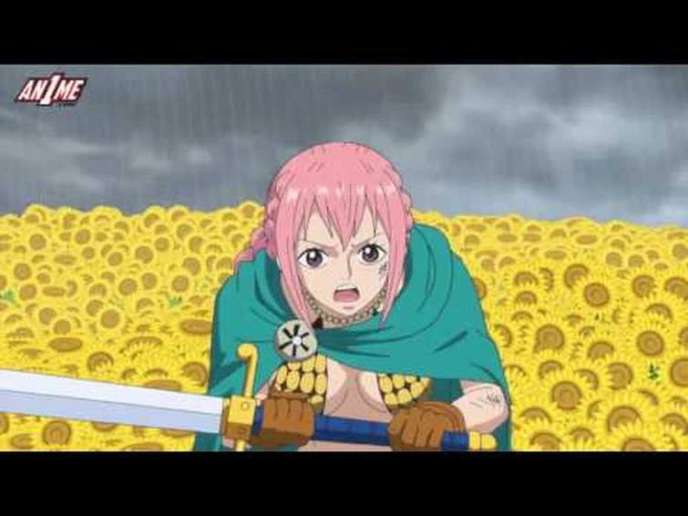 Robin's Devil fruit. Fandom