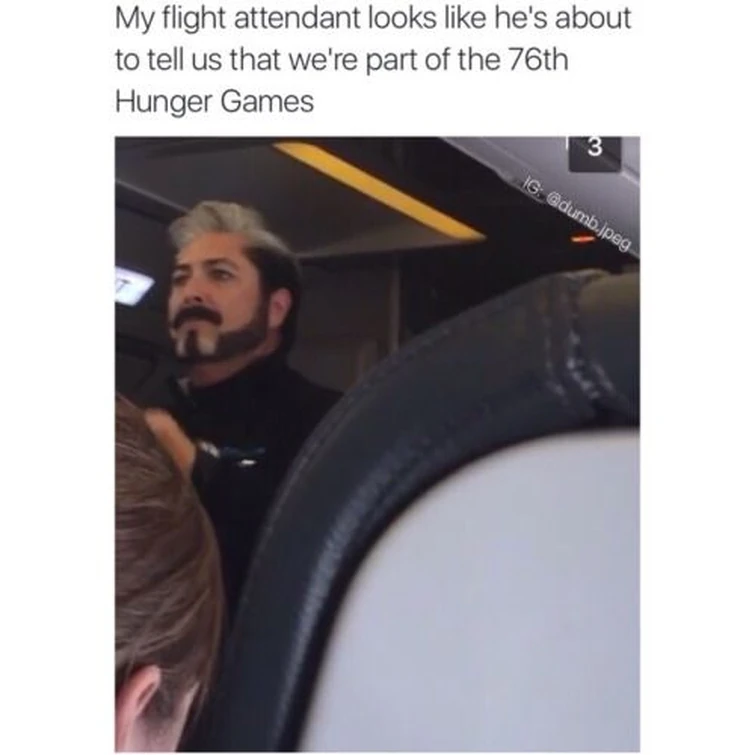 where finnick and the lizard mutts Fandom