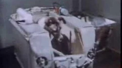 1957_Sputnik_2_(USSR)