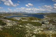 Hardangerviddaflora