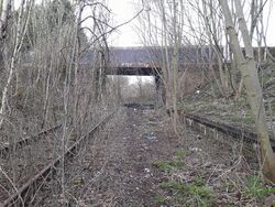 Brockmoor Halt, now out of use and overgrown.