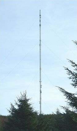 Durris-mast