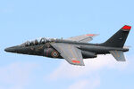 A Franco-German (French\German join made) Alpha Jet.