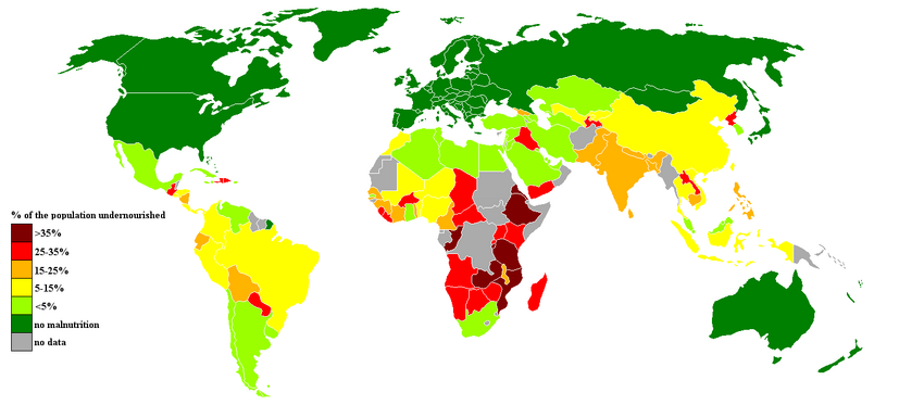 The % who are starving according to the UN's definition of 'starving'. Author: KVDP.