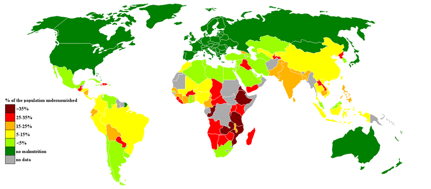 Global malnutrition