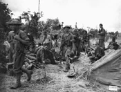 014214 Australian and American troops at Sanananda Buna.jpeg (200 KB) Australians of the 2/12th Battalion (Australia) move past a group of Americans on the Sanananda track, who had been in action a little earlier. AWM 014214. Aussies helping to save Asia from genocidal Axis forces.