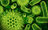 Kharaa Bacterium's avatar