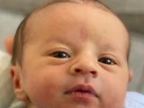 Evangeline Vuolo