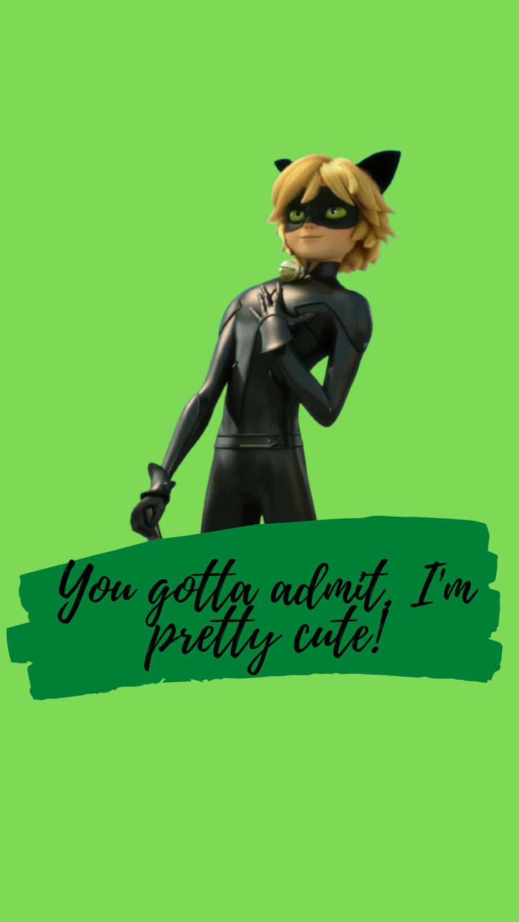 I Made Cat Noir Wallpapers Because Yes Fandom