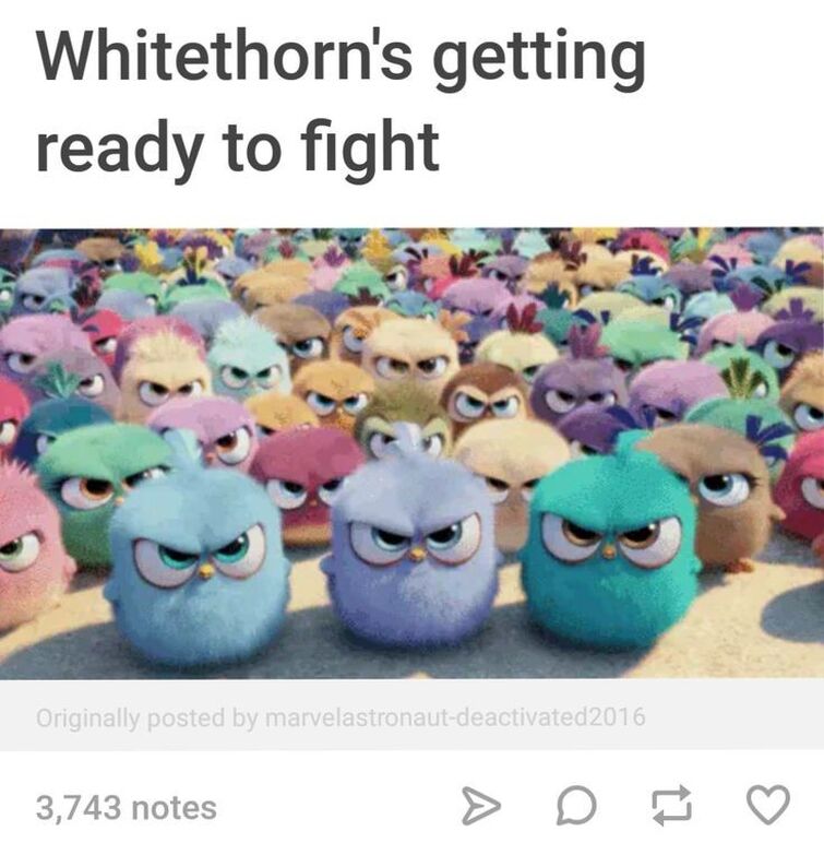 Fandom Image