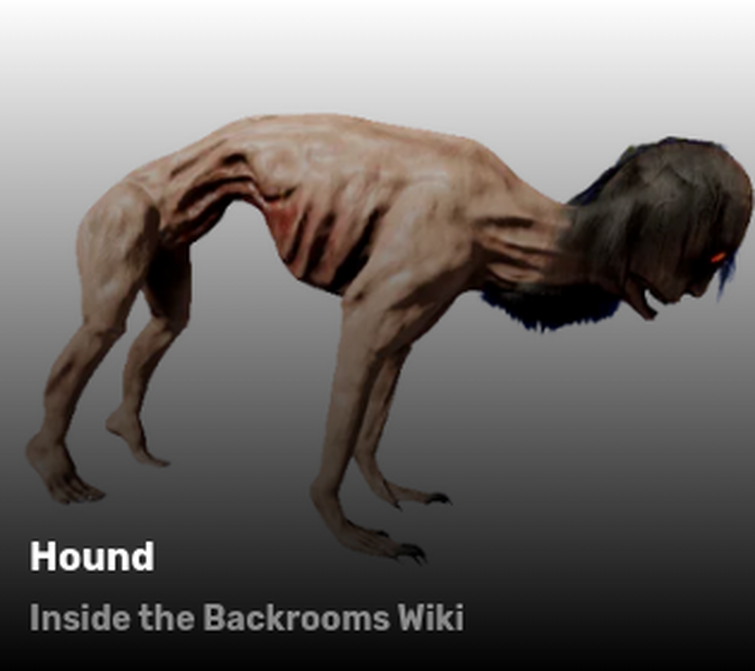 Hound - Da Backrooms Wiki