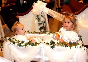 Storymaker-josh-and-anna-wedding-pictures1-515x363-1.jpg