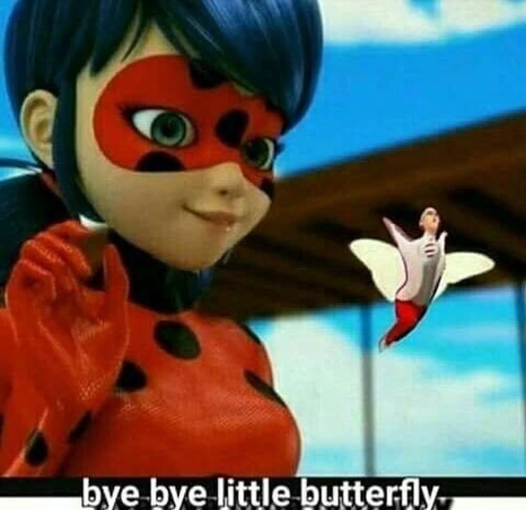Bye Bye Little Butterfly Fandom