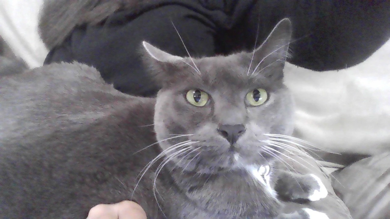 i need help pooks😘 Fandom