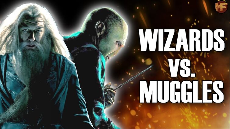 What If the Wizarding World Went to War With Muggles?