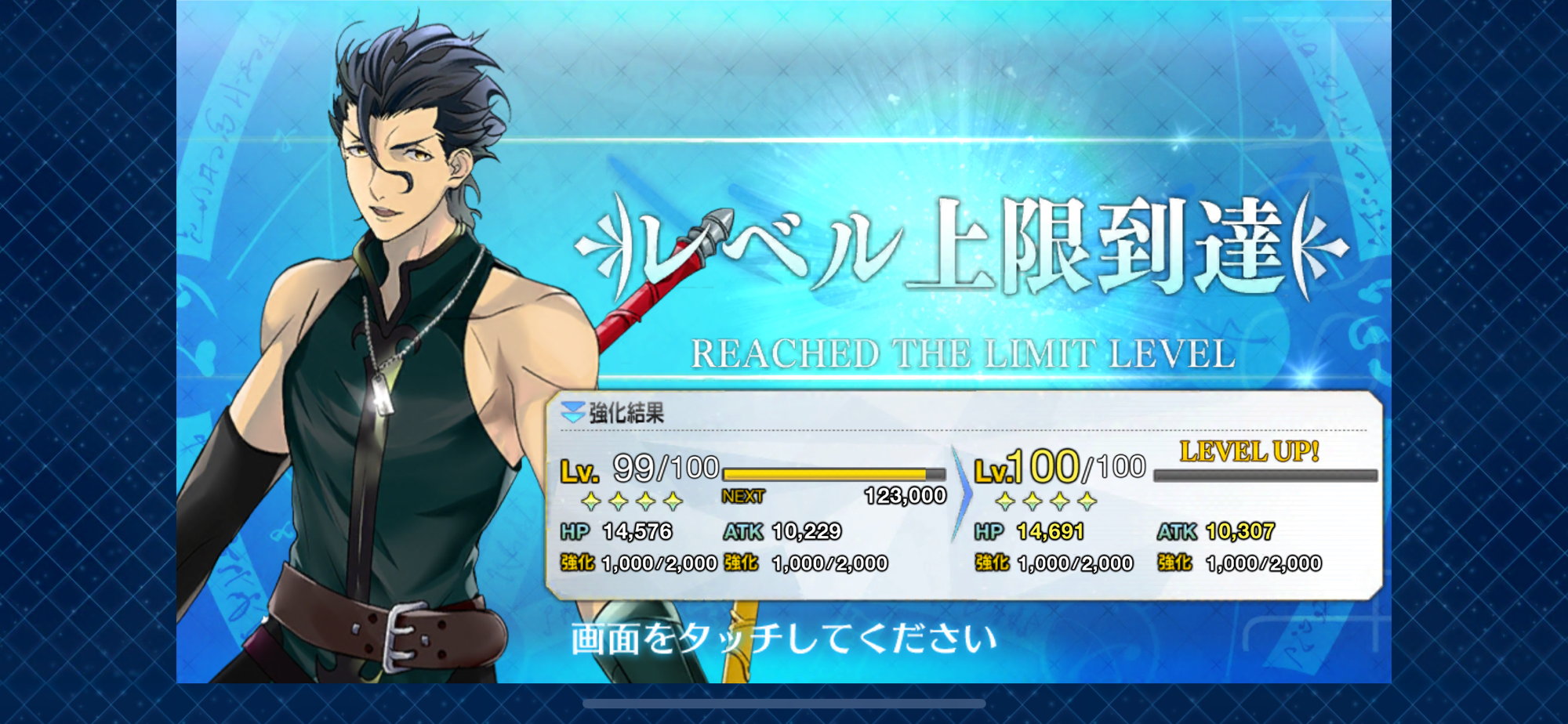 Diarmuid Now Lv 100 Max Skills Fandom