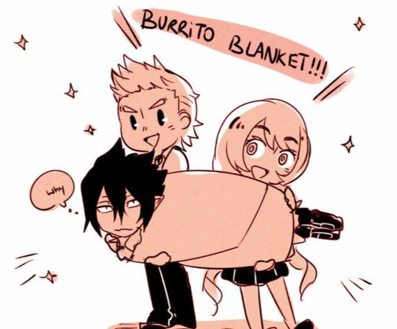 Burrito Blanket Fandom