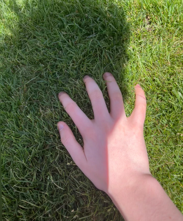 шок игрок в геншин трогает траву | Fandom