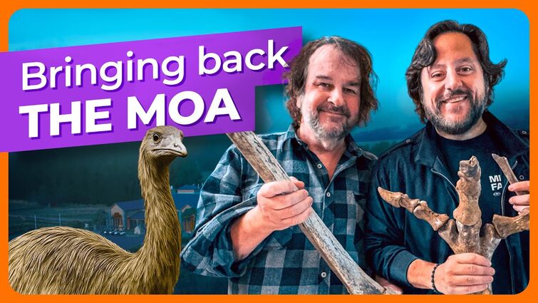 New De-Extinction Announcement: the Legendary Moa of New Zealand
