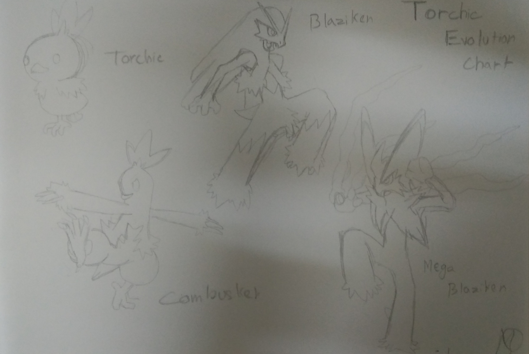 Pokemon Torchic evolution chart | Fandom