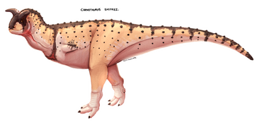 Dinopedia Makes A Zoo! Abelisaurids! Top 2 make it in! | Fandom