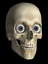 BigCheeseLover01's avatar