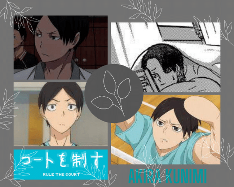 Fandom Image