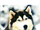 InnerWulf