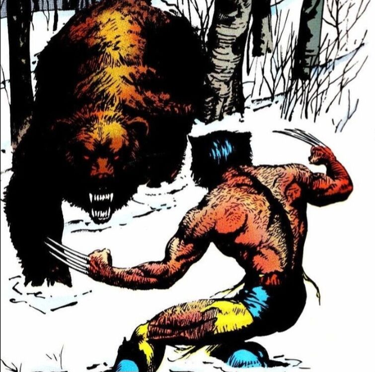 Fandom Image