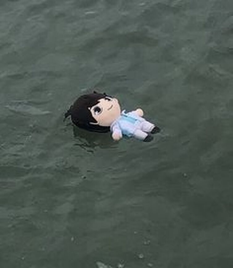 Fandom Image