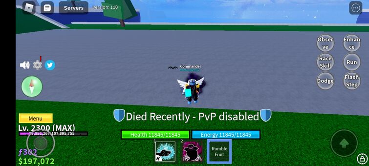 DOING A RAID WITH A HACKER ON ROBLOX BLOX FRUIT 